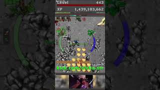 Deska z zaskoczenia #tibia #deska #cobra #gaming #ms
