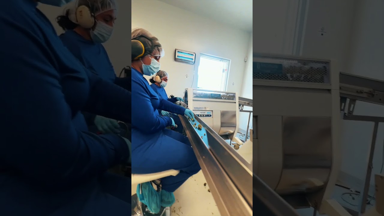 Mariwell's Wet Trim Harvest set up