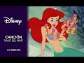 La Sirenita : Canción 'Bajo el mar' | Disney Oficial