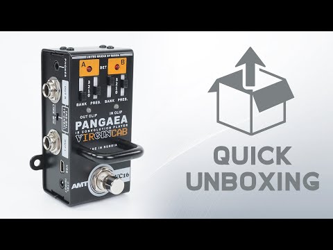 AMT Pangaea VIRGINCAB VC16 - IR convolution (quick unboxing / no talking)