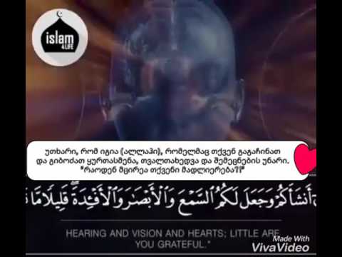 რაოდენ მცირეა თქვენი მადლიერება