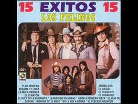 Los Felinos - Jambalaya