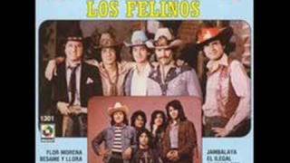 Los Felinos - Jambalaya chords