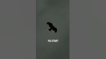 Unlocking Perspective: Soar Like an Eagle and See Beyond Limits 🌄🦅