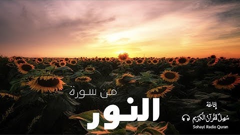 تـلاوة مؤثرة من سورة النور يتلوها القارئ | شريف مصطفى