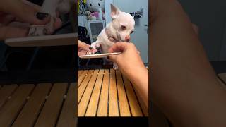 I Did Nikis Manicure And Pedicure