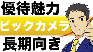【優待魅力！】ビックカメラは今が買い時？１年後の株価予想