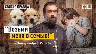 В современном мире собак ценят больше детей — отец Андрей Ткачёв