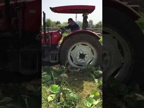 Başak 4*4 2073