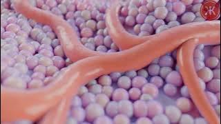 Our Theory: How FGF-1 Could Treat Parkinson's Disease