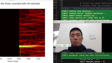 Demo robust remote PPG video implemented with Python which runs in realtime