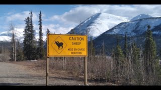 From Quartzsite, Arizona to Alaska!  Part 6  Pink Mountain, BC to Toad River, BC