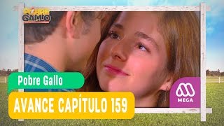 Pobre Gallo - Avance Capítulo 159