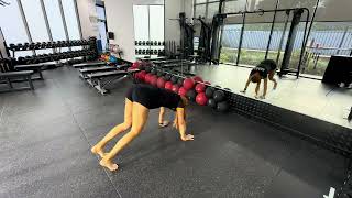 Pauly Push Backs demonstration