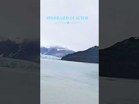 Video: Ghețarul Hubbard din Golful Yakutat, Alaska