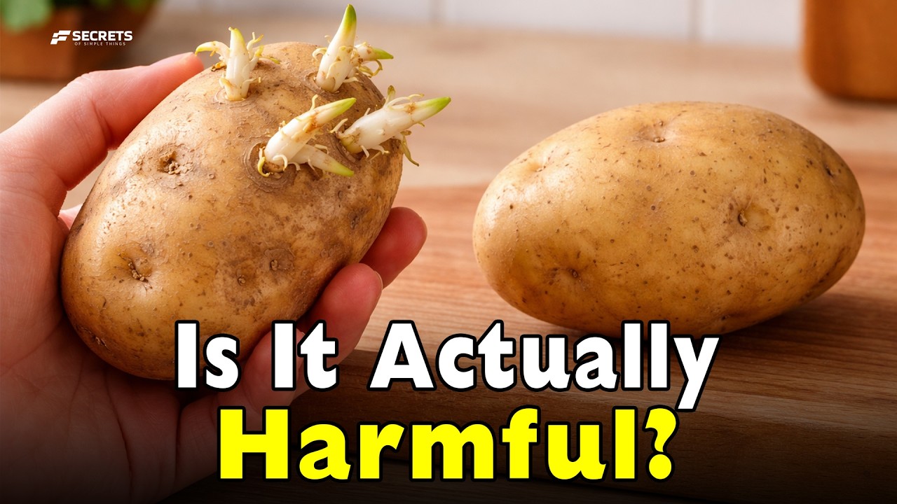 Are Sprouted Potatoes Safe? Most People Read the Sign Wrong