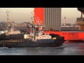 Dockwise mv blue marlin  le plus gros navire transporteur au monde