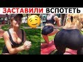 ЛУЧШИЕ ИНСТА ВАЙНЫ 2019 | Елена Сажина, SofaBro, Катя Новикова, TerriTima, jokeasses