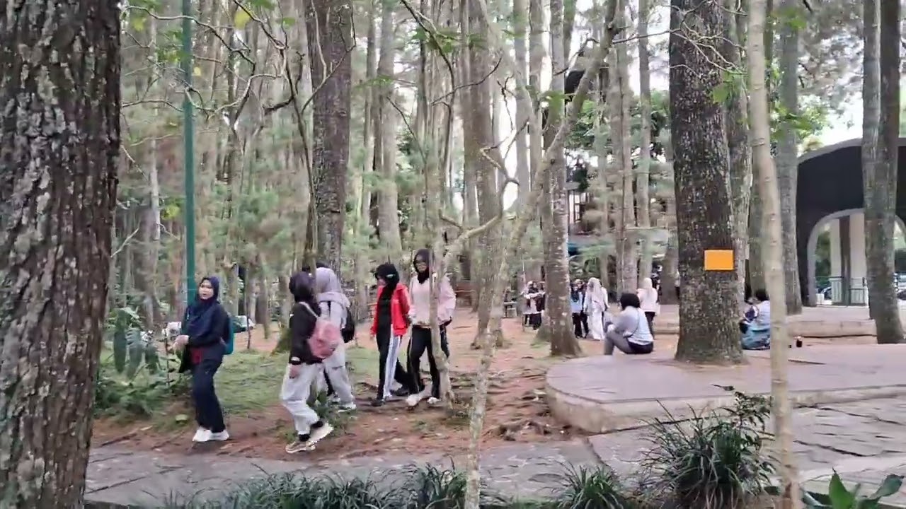 Ramey saksikan Jalan,, di taman 