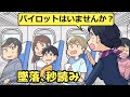 パイロットのいない飛行機【アニメ】