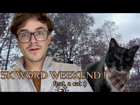 can i hit my word count this weekend? | Writing Vlog