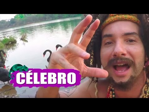 MUSTAFARY (MARCO LUQUE) -- CÉLEBRO