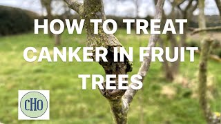 How to Treat Canker in Fruit Trees Organically