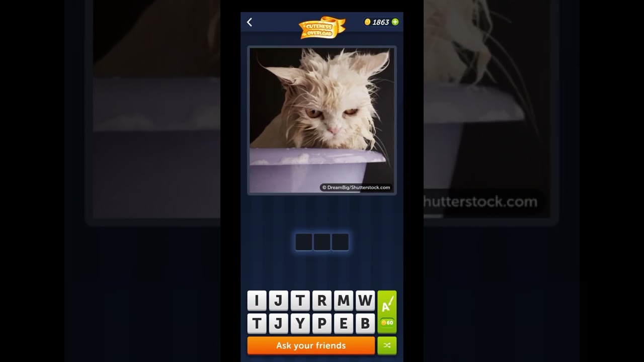 4 Pics 1 Word - April 19 2023 Daily Puzzle Answer