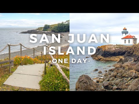 The Best Things to Do on San Juan Island in Washington