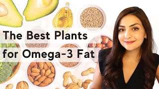 How to get Omega 3 on a Vegan Diet