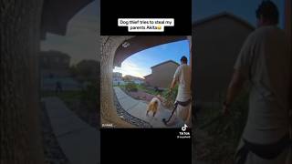 wwyd? CRAZY DOG THIEF tries to break in home & steal AKITA!  🤯 #dog #trendingshorts #robbery #puppy