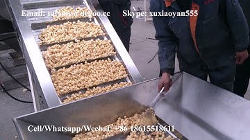 Automated Continuous Caramel Popcorn Production Line popcorn caramelizer pop corn maker