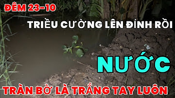 Đêm tối 23-10 triều cường cứ dân lên hoài như thế này rất có thể bà còn sẽ trắng tay BD84Vlog