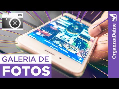 Vídeo: Como Organizar Uma Galeria