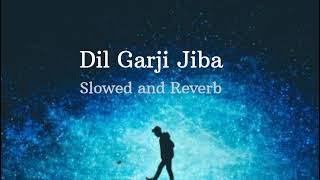 Dil Garji Jiba Slowed and reverb | Slowed and reverb