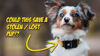 Fi Series 3 Smart Dog Collar | Review by Lost Down Yonder 13,182 views 1 year ago 7 minutes, 15 seconds