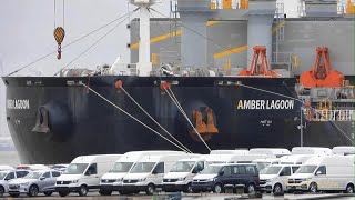 Zellstoffentladung Frachter AMBER LAGOON Emden bulk carrier discharges celulose V7A4508 IMO 9663738