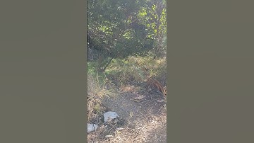 Axiomatic Systems, Logic, Arithmetic and the Python object types and operators and operands