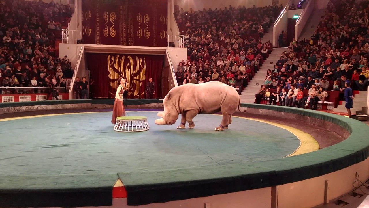 Начало Астана "Цирк Больших зверей" - YouTube