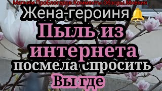 видео: Жена Героиня.Опять негатив.Возмущается зрителями.А кто спрашивает где вы?Вопросы задает?Да никто! картинка: Жена Героиня.Опять негатив.Возмущается зрителями.А кто спрашивает где вы?Вопросы задает?Да никто!