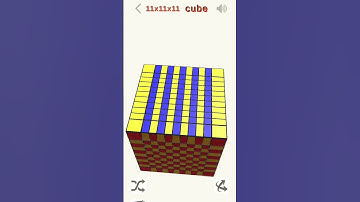 Checkerboard 😨🤯😮pattern in 11x11 cube @crazycubing07