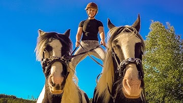 Tomas Skyldeberg - We Can Be Fearless 🦄 Equestrian Video Edit