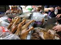 Duck Rice, Stir-fried Duck, Braised Duck, Duck Soup, Fried Egg - 嘉義美食 阿波鴨肉麵