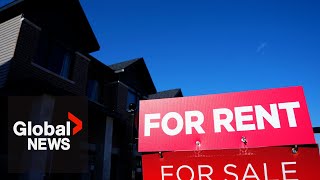 Housing Crisis: How To Reach Financial Security As A Renter