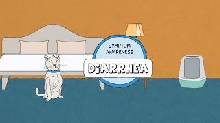 What to do if your pet has diarrhea by Gilbertsville Veterinary Hospital 162 views 2 years ago 1 minute, 4 seconds