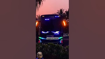 Strobo mata bus mania #bus #busmania #shorts