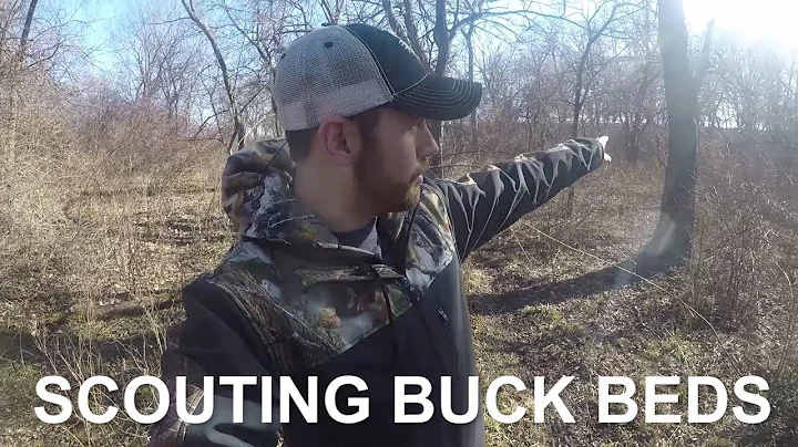 Scouting Buck Beds | The Hunting Public