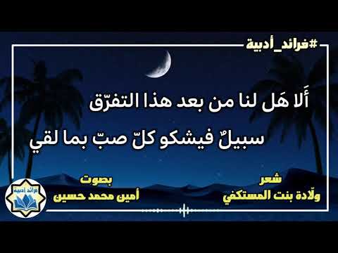 ألا هل لنا من بعد هذا التفرق شعر ولادة بنت المستكفي بصوت أمين محمد حسين فرائد أدبية