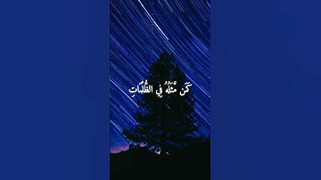 أومن كان ميتاً فأحييناه وجعلنا له نورا /سوره الانعام بصوت الشيخ ياسر الدوسري ♥️