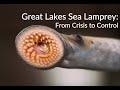 Great lakes sea lamprey from crisis to control